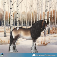 Horse Color:Brown Onyx Sabino Appaloosa 