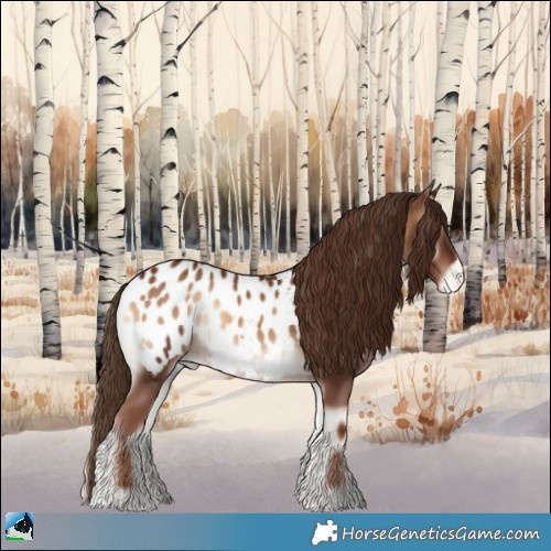 Horse Color:Red Onyx Sabino Appaloosa 