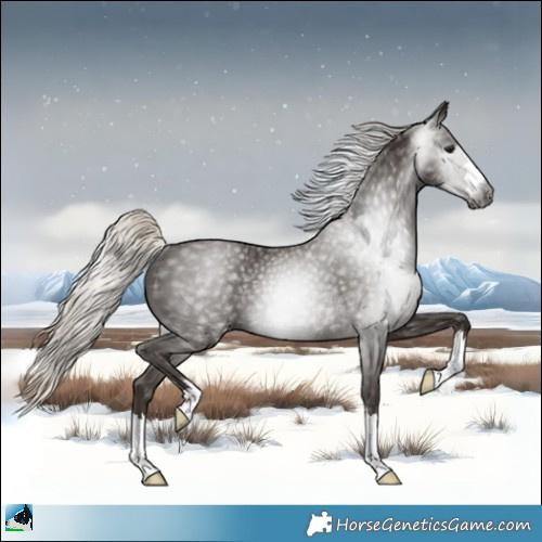 Horse Color:Gray Silver Black Rabicano
