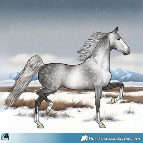 Horse Color:Gray Silver Black Rabicano