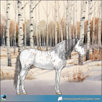 Horse Color:Sable Champagne Onyx Sabino Tobiano Frame Appaloosa 