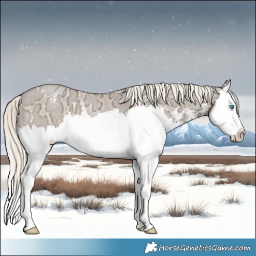 Horse Color:Chocolate Palomino Ice Pearl Sabino Splash