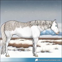 Horse Color:Chocolate Palomino Ice Pearl Sabino Splash 