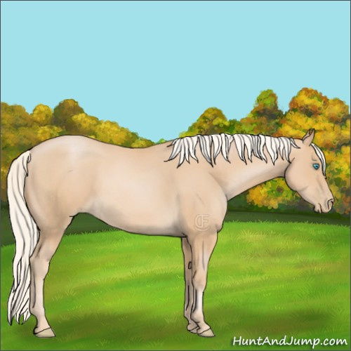 Horse Color:Palomino Pearl Sabino