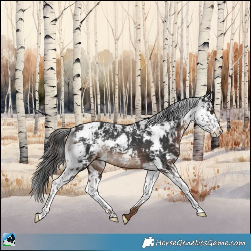 Horse Color:Liver Chestnut Sabino Rabicano