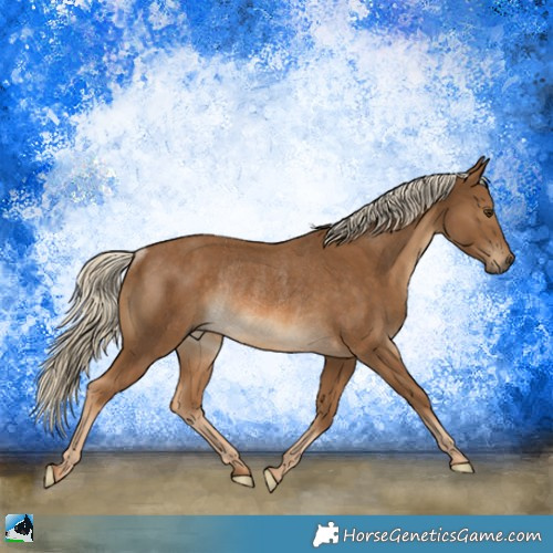 Horse Color:Chocolate Palomino Rabicano 