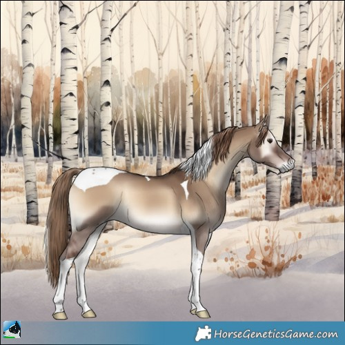 Horse Color:Liver Red Dun Onyx Tobiano