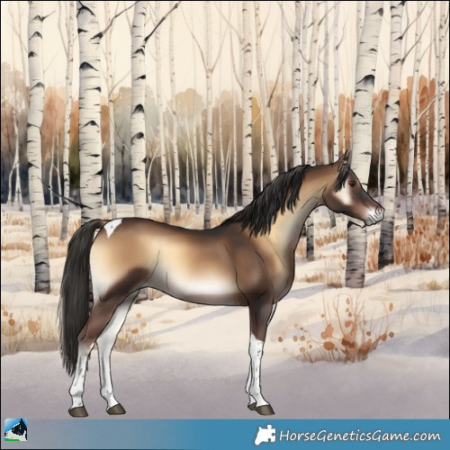 Horse Color:Liver Red Onyx Tobiano