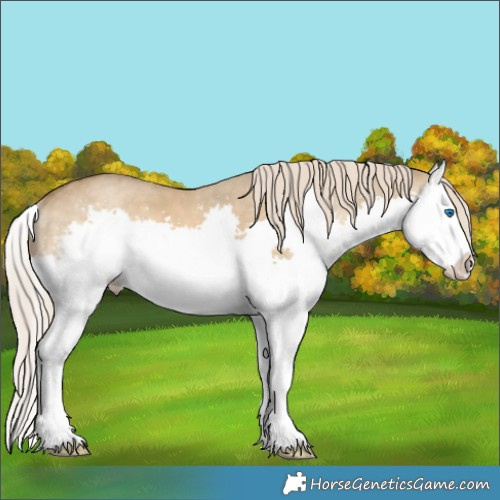 Horse Color:Chocolate Palomino Dun Splash