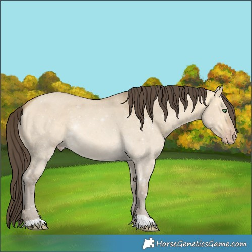 Horse Color:Sable Cream Champagne Dun 