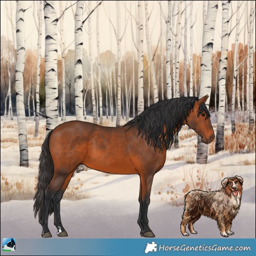 Horse Color:Bay Rabicano