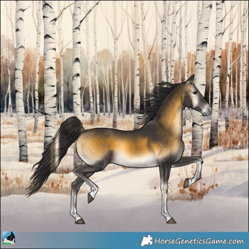 Horse Color:Buckskin Onyx 