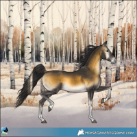 Horse Color:Buckskin Onyx 