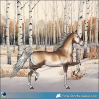 Horse Color:Silver Brown Onyx 
