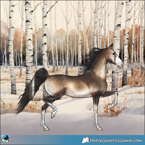 Horse Color:White Spotted Brown Onyx 