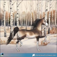 Horse Color:White Spotted Brown Onyx 