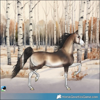 Horse Color:White Spotted Brown Onyx 
