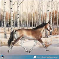 Horse Color:Brown Onyx 
