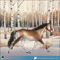 Horse Color:Brown Onyx