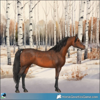 Horse Color:Brown Rabicano 