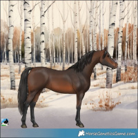 Horse Color:Brown Rabicano