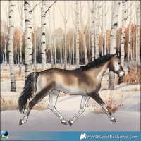 Horse Color:Brown Onyx