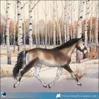 Horse Color:Brown Onyx 
