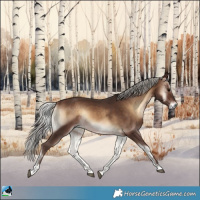 Horse Color:Silver Brown Onyx