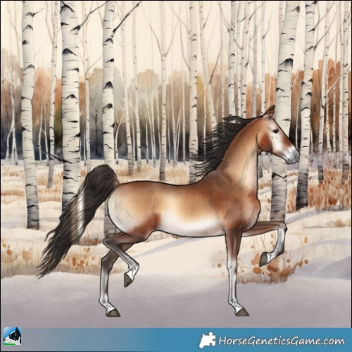 Horse Color:Bay Onyx 