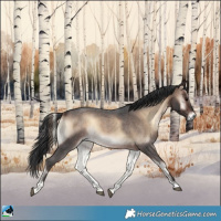 Horse Color:Brown Roan Onyx 