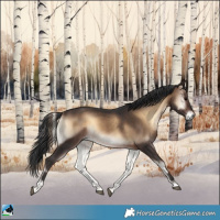 Horse Color:Brown Onyx 
