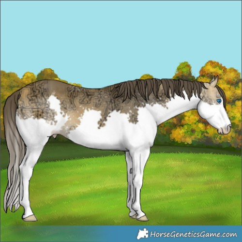 Horse Color:Buckskin Ice Splash 