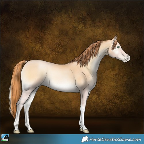 Horse Color:Buckskin Pearl Onyx Sabino Tobiano 