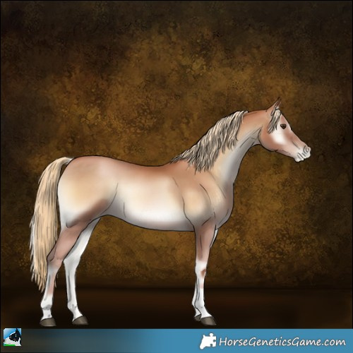 Horse Color:Red Onyx Pearl Sabino Tobiano
