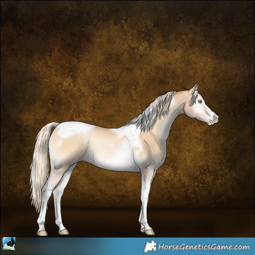 Horse Color:Palomino Pearl Onyx Tobiano Frame