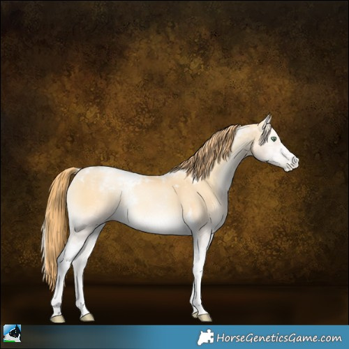 Horse Color:Buckskin Pearl Onyx Tobiano 