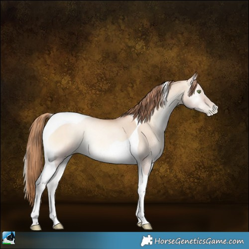 Horse Color:Gold Champagne Pearl Onyx Tobiano Rabicano 