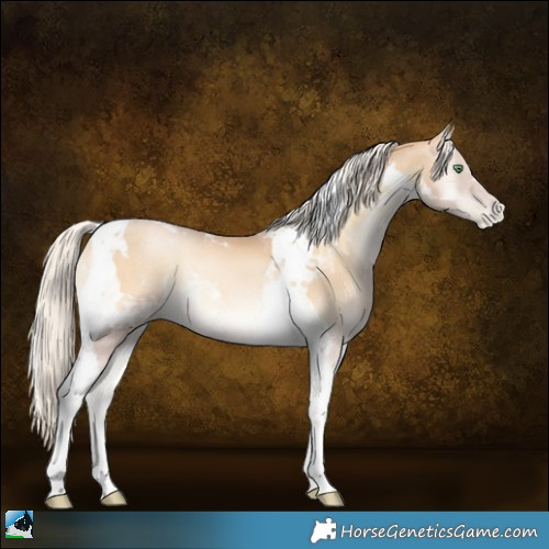 Horse Color:Palomino Pearl Onyx Tobiano 