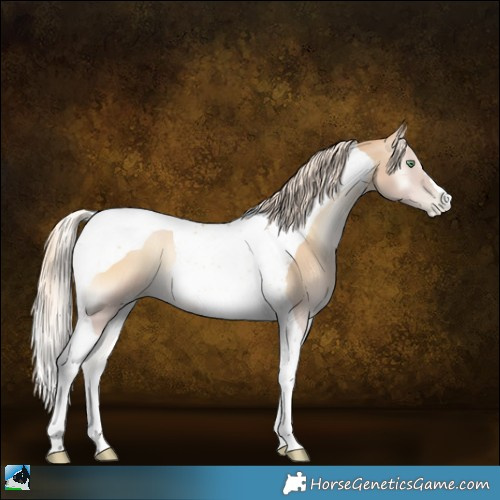 Horse Color:Palomino Pearl Onyx Tobiano 