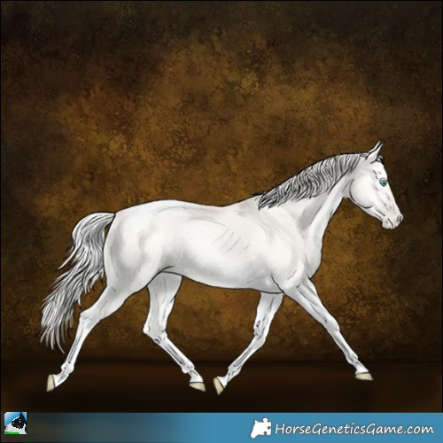 Horse Color:Silver Sable Cream Champagne Pearl Onyx Tobiano 