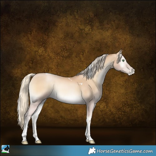 Horse Color:Palomino Pearl Onyx Tobiano 