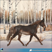 Horse Color:Liver Chestnut Rabicano 