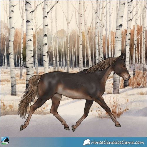 Horse Color:Liver Chestnut Rabicano 