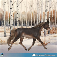 Horse Color:Liver Chestnut Rabicano 