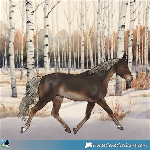 Horse Color:Liver Chestnut Rabicano