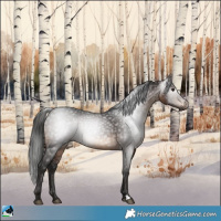 Horse Color:Gray Bay