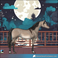 Horse Color:Brown Dun 