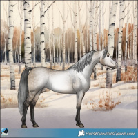 Horse Color:Gray Bay Dun 