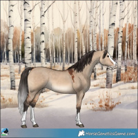 Horse Color:Bay Dun Splash 
