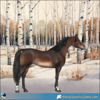 Horse Color:Brown 